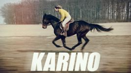 Karino