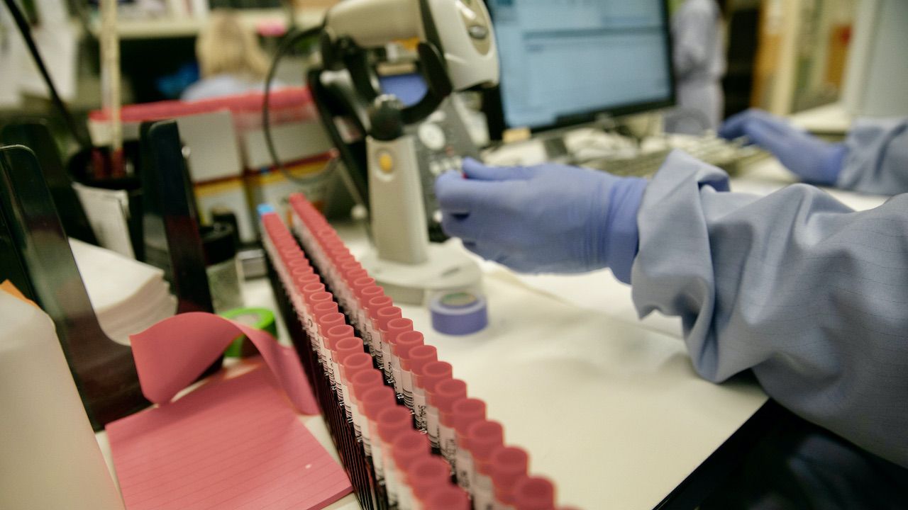 Badacze liczą, że powstanie z nich lek i wsparcie w produkcji szczepionek (fot. J.Moore/Getty Images) Badacze liczą, że powstanie z nich lek i wsparcie w produkcji szczepionek (fot. J.Moore/Getty Images)