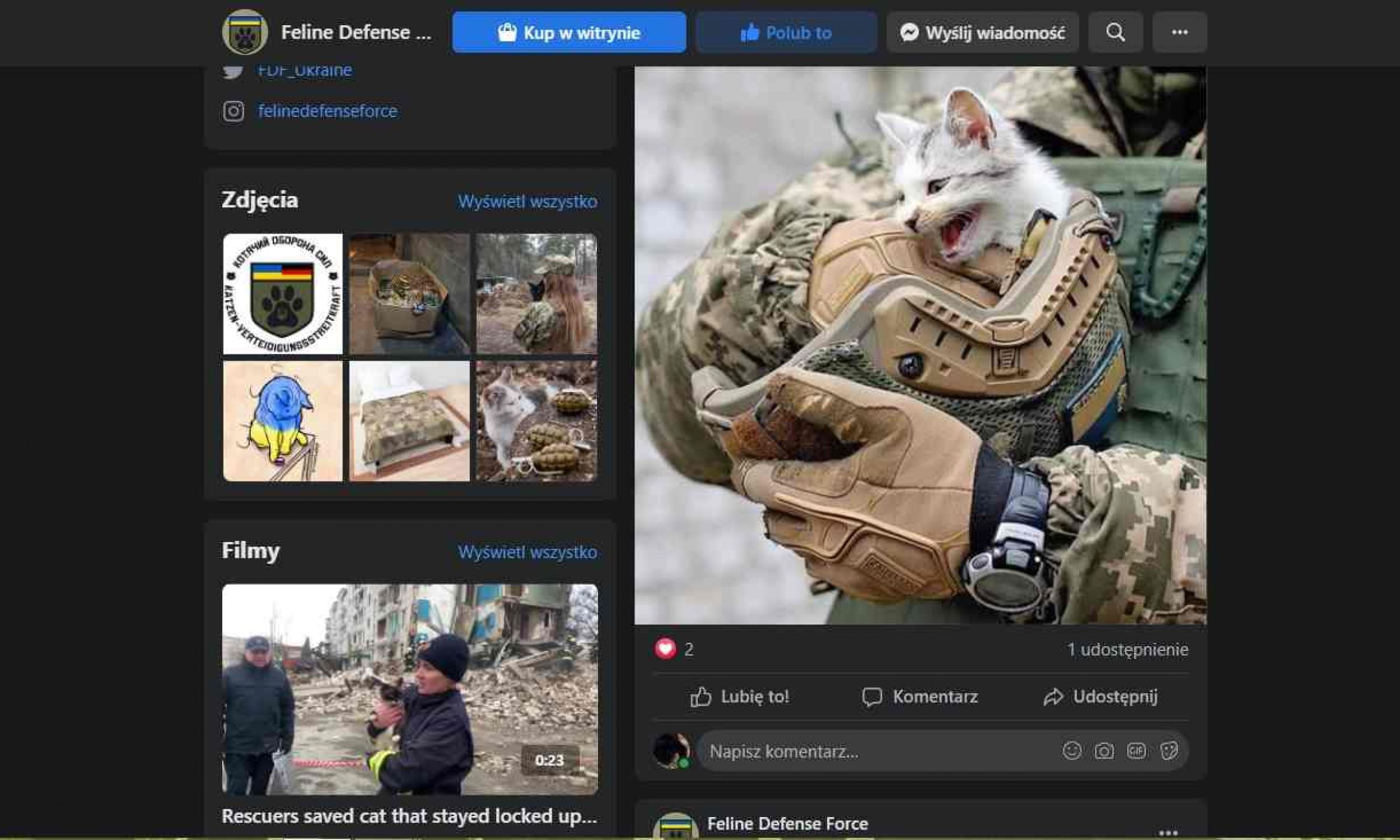 Коти «підтримуючи воїнів-людей, що борються за захист демократії від ворожих загарбників». Фото: знімок екрану Feline Defense Force/Facebook