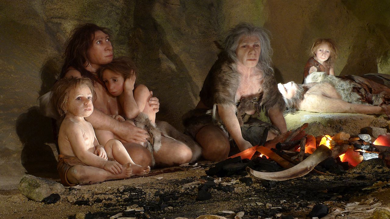 Ekspozycja w nowym Muzeum Neandertalczyka w mieście Krapina (fot.  REUTERS/Nikola Solic)