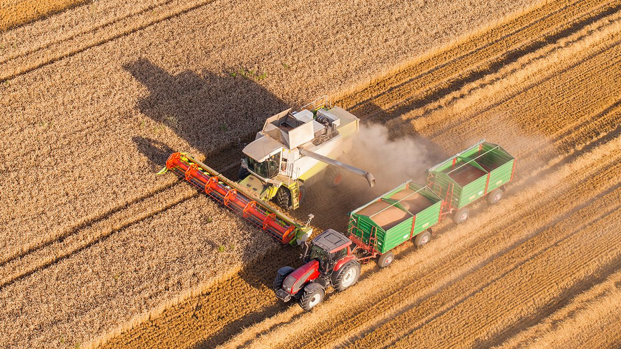 Wcześniej nad budżetem rolnym debatowała sejmowa komisja rolnictwa (fot. Shutterstock)