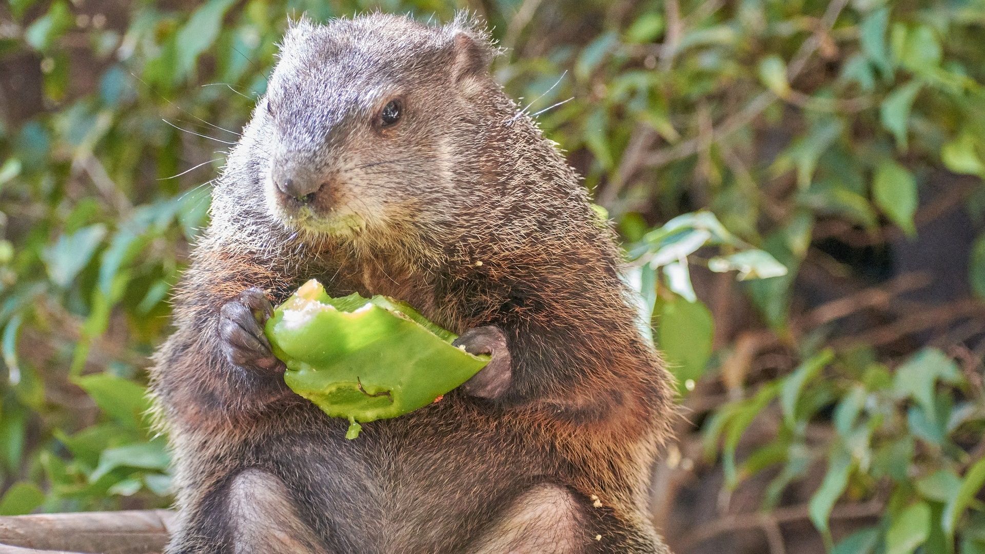 Beaver creamery utah tripadvisor ut