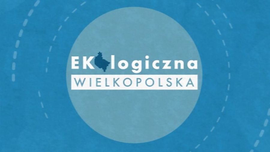 czoł.