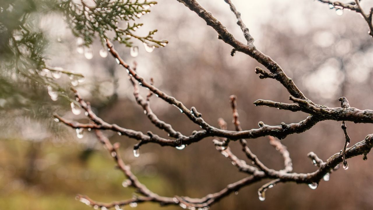 Gdzieniegdzie mogą pojawić się słabe opady marznącej mżawki  (fot. Shutterstock)
