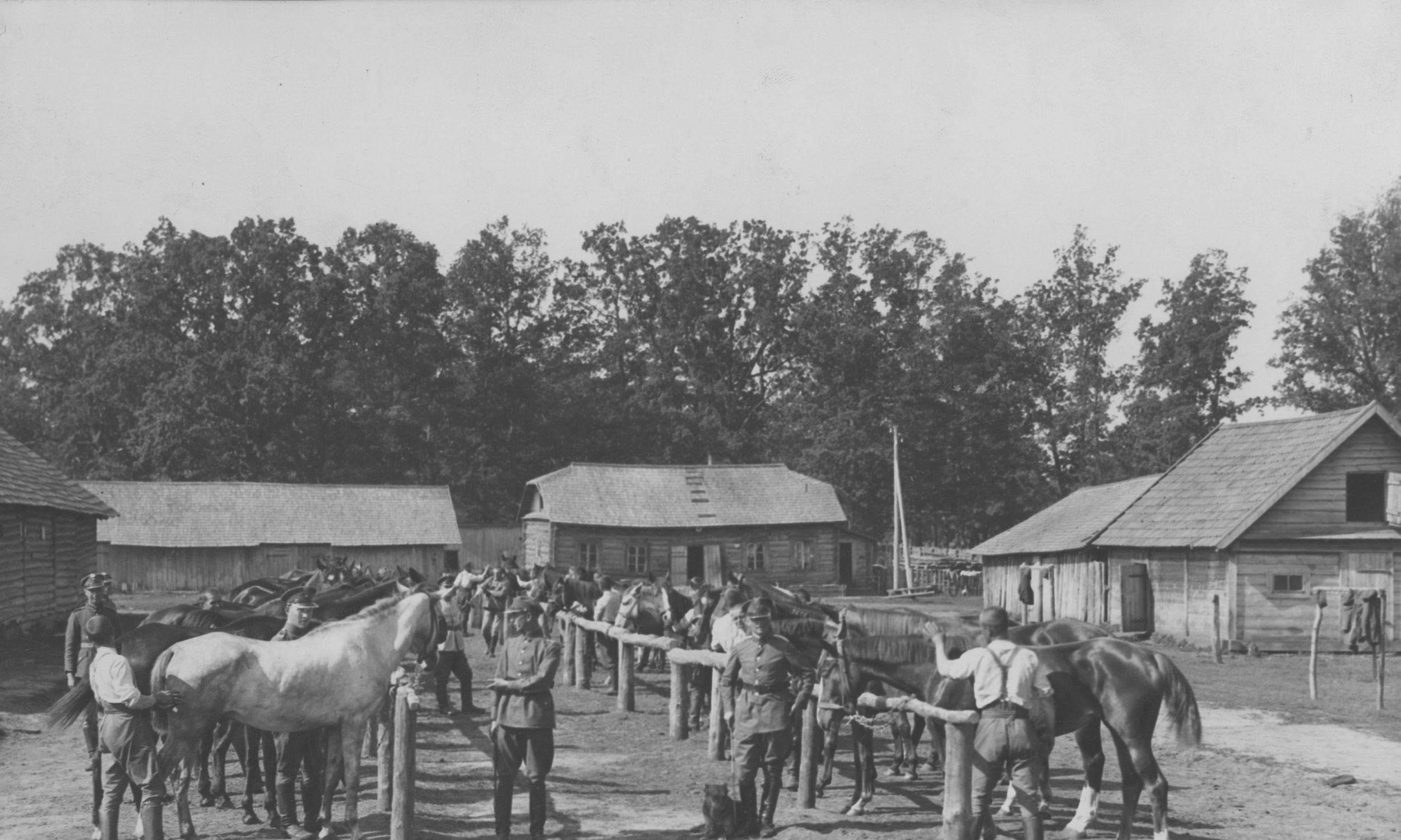 Ranne czyszczenie koni w 16 szwadronie KOP. Rok 1928. Fot. NAC