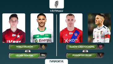 (fot. TVP Sport)