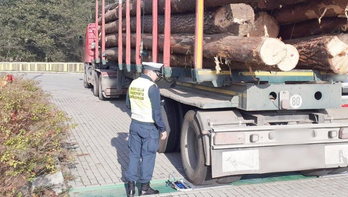 Inspektorzy zatrzymali ciężarówkę z dłużycami drewna do kontroli (fot. gov.pl)