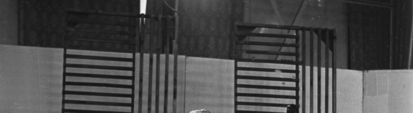 niedziela-z-piosenkami-mieczyslawa-fogga