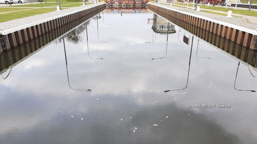 Kanał Gliwicki. Fot. Wody Polskie RZGW Gliwice