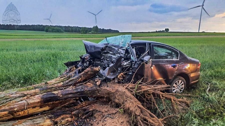 28-latek zginął w wypadku. Auto wyrwało przydrożne drzewo (fot. KM PSP w Skierniewicach)