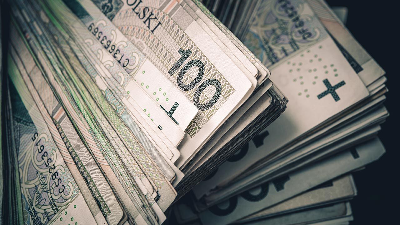 IPAG przewiduje, że w całym 2021 r. produkt krajowy brutto zwiększy się o 3,8 proc. (fot. Shutterstock/Virrage Images)
