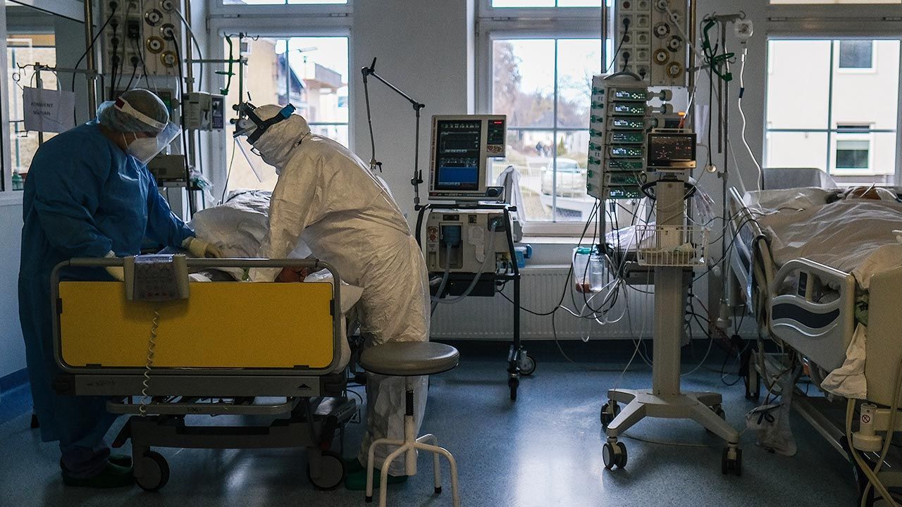 Raport o epidemii koronawirusa w Polsce (fot. Omar Marques/Anadolu Agency via Getty Images)