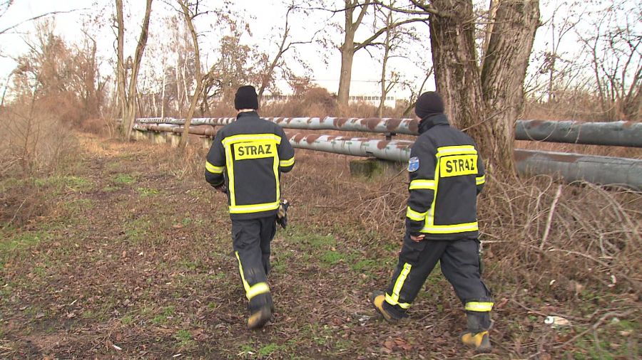 Poszukiwania w stawie Błaskowiec. Fot. Gabriela Kosowska TVP3 Katowice