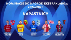 (fot. TVP SPORT)