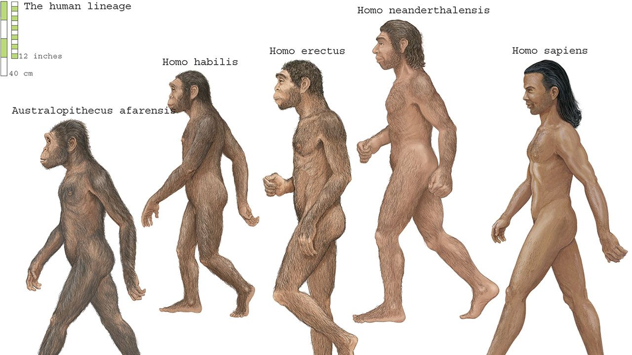 Być może ten stan rzeczy zmienia się na naszych oczach (fot. Encyclopaedia Britannica/Universal Images Group via Getty Images) Być może ten stan rzeczy zmienia się na naszych oczach (fot. Encyclopaedia Britannica/Universal Images Group via Getty Images)