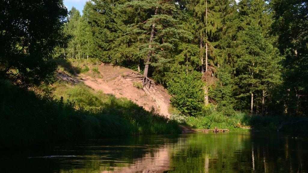 Spływ Czarną Hańczą kusi pięknymi widokami. Rzeka ta przepływa przez terytorium Polski i Białorusi. Fot. emilia.zmudzin/ Shutterstock
