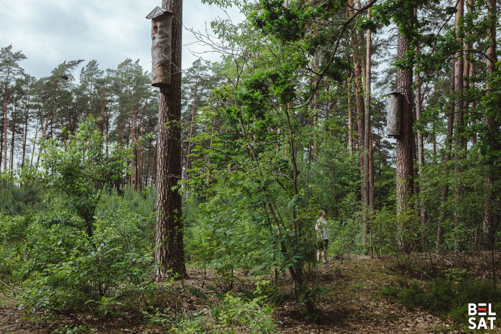 Борці ў лесе не далёка ад Аўгустова, Польшча. 10 чэрвеня 2025 года. Фота: Рауль Дзюк / Белсат