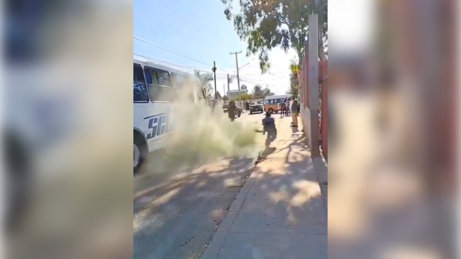 Footage posted online shows the brutal incident. Photo: X/@tavogoodgood