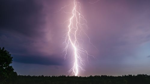 Burza. Piorun uderzający z impetem w drzewa w lesie. Błyskawicę, silnie rozgałęzioną, widać na tle ciemnego, nocnego nieba i gęstych chmur.