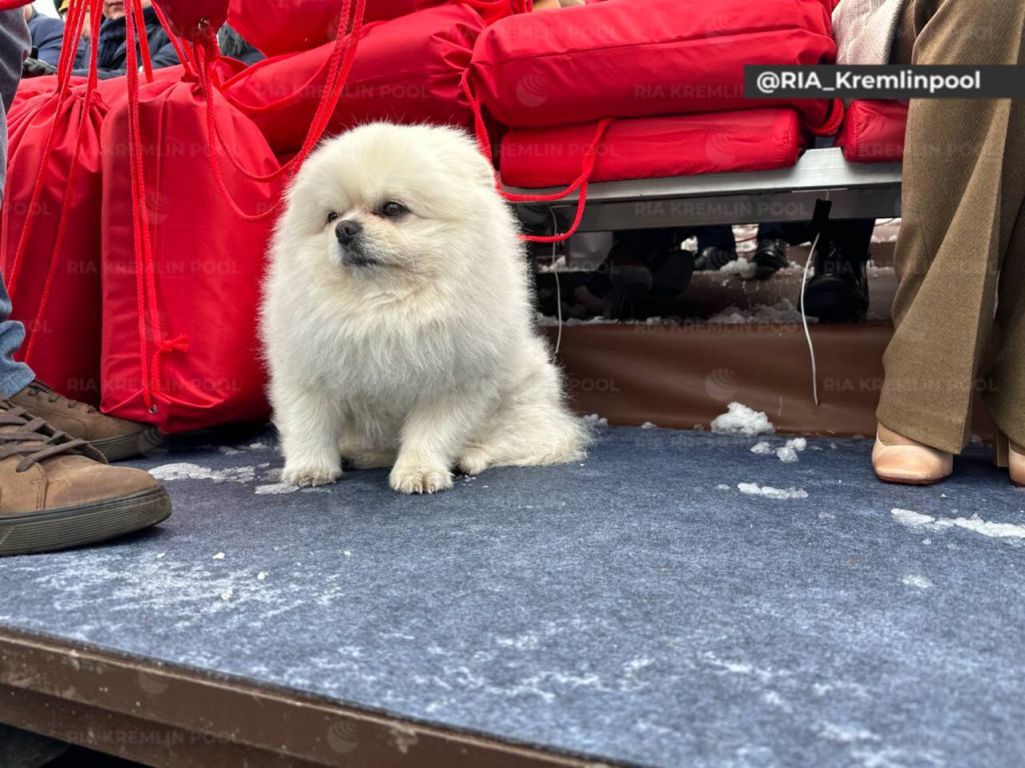 Аляксандр Лукашэнка на парадзе 9 траўня ў Маскве. (Фота: president.gov.by)