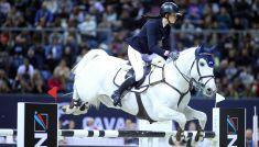 Jeździectwo, Cavaliada Warszawa – konkurs dużej rundy. Transmisja online na żywo, live stream (17.11.2023)