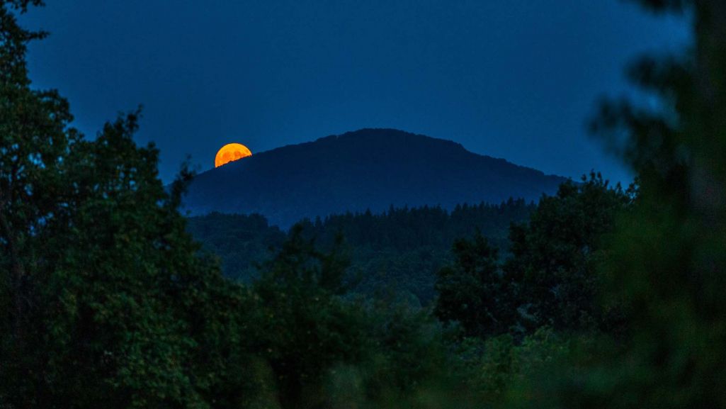 Nów księżyca jest idealną okazją do obserwacji nocnego nieba i podziwianiu planet, takich jak Jowisz czy Wenus. Fot. ralij/ Shutterstock
