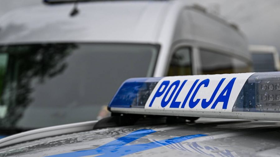 Prowadzili samochód na zmianę bez prawa jazdy - Poznań (fot.PAP/Darek Delmanowicz)