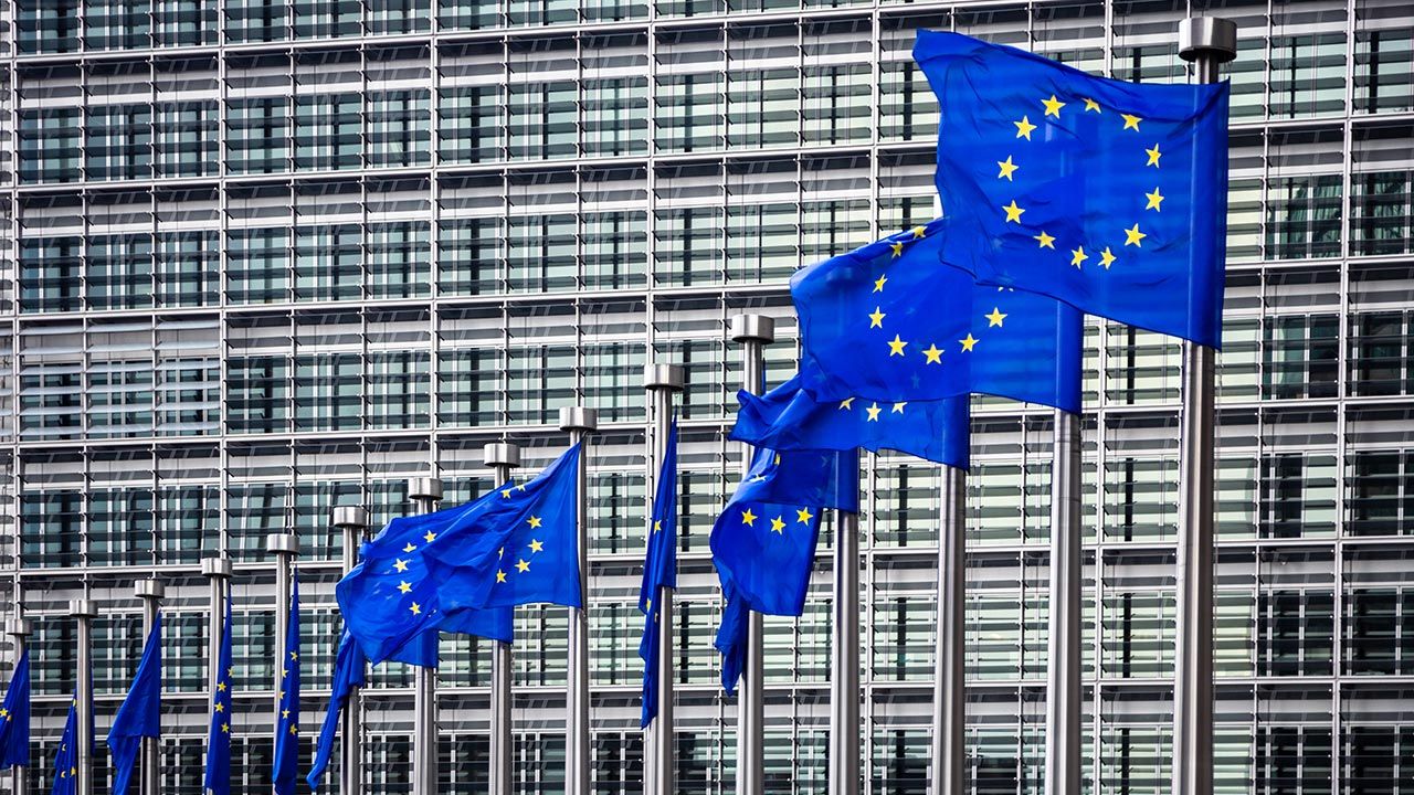 Unia Europejska (fot. Shutterstock/VanderWolf Images) Unia Europejska (fot. Shutterstock/VanderWolf Images)