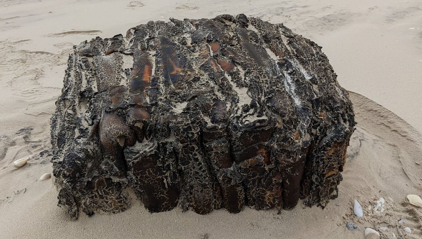 Znaleziska z daleka przypominają drewniane kloce (fot. FB/Padre Island National Seashore)