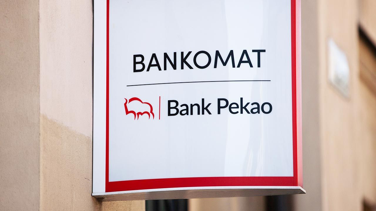 Jak ocenił Skiba, wyniki po drugim kwartale są bardzo dobre (fot. Suhtterstock/Karolis Kavolelis) Jak ocenił Skiba, wyniki po drugim kwartale są bardzo dobre (fot. Suhtterstock/Karolis Kavolelis)