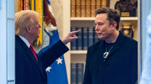 Доналд Трамп і Ілан Маск