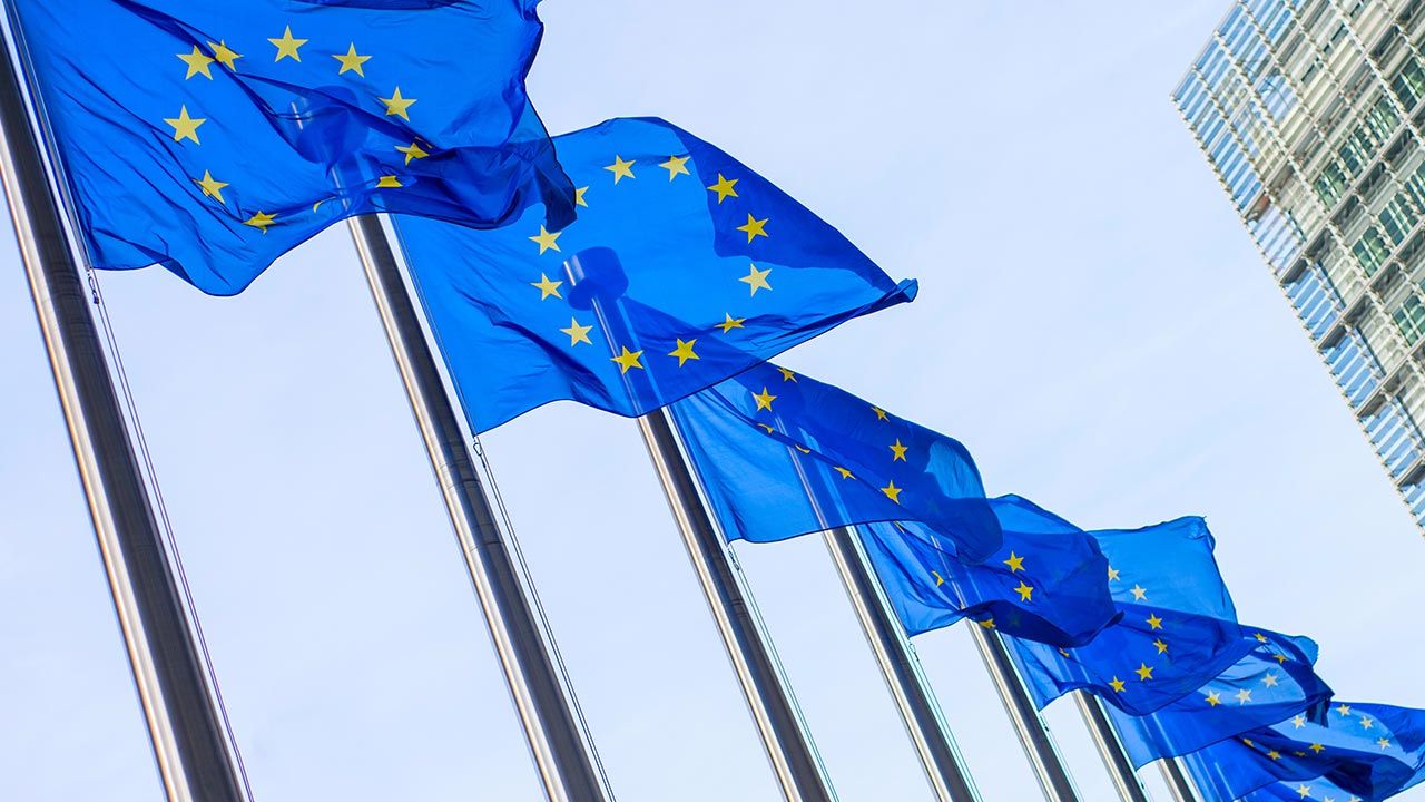 Państwa członkowskie Unii przyjęły w czwartek kolejny pakiet sankcji (fot. Shutterstock/artjazz)