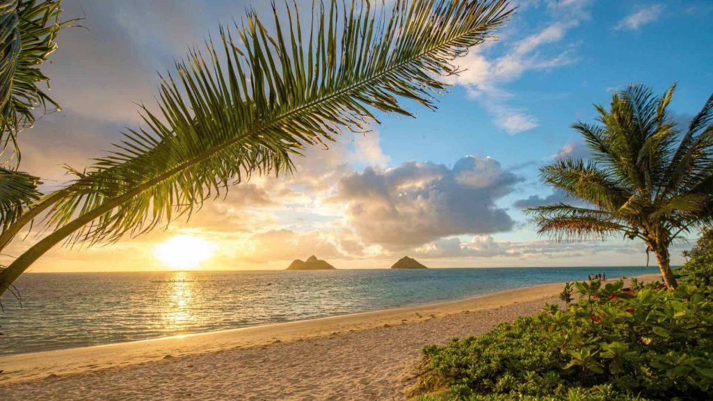 Plaża Whitehaven jest częścią Parku Narodowego Wielkiej Rafy Koralowej, jednego z najbardziej znanych ekosystemów morskich na świecie. Fot. lanikai/Shane Myers Photography/Shutterstock