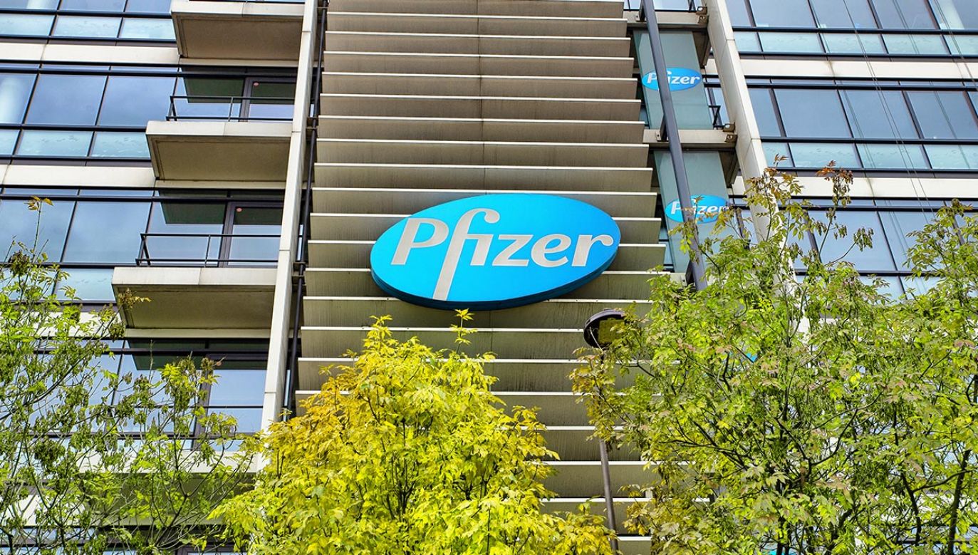 Pfizer inwestuje w firmę biotechnologiczną (fot.  HUMBERT/BSIP/Universal Images Group via Getty Images)