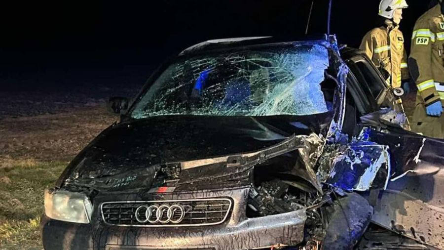 Pieczyska, wypadek, auto uderzyło w drzewo, ranny 31-latek (fot. OSP Brzeziny/Facebook