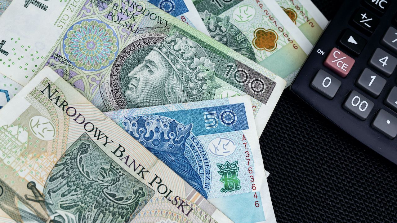 „Polska jest pod wpływem kursu walutowego i dobrej koniunktury” (fot. Shutterstock/PrzemoN)